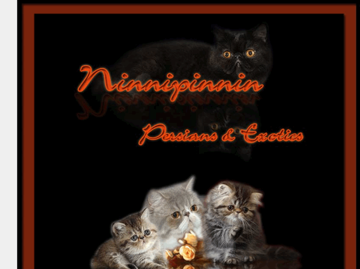 www.ninnipinnin.com