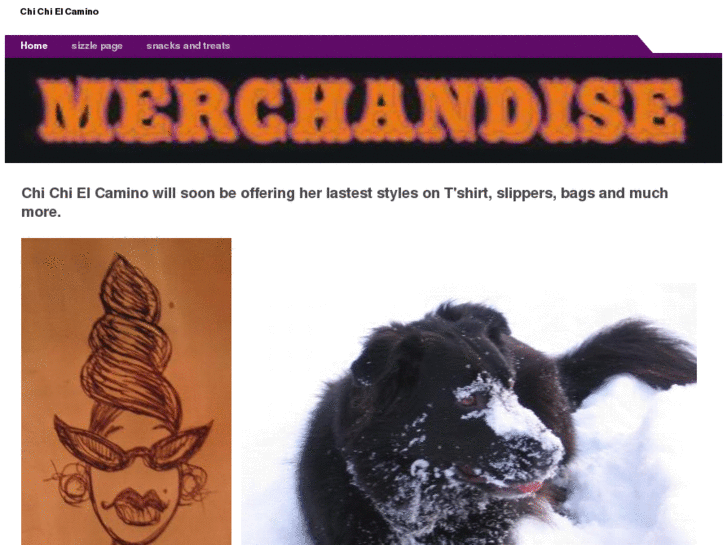 www.chichielcamino.com
