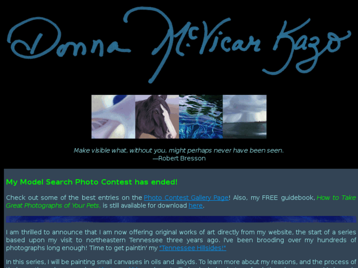 www.donnamcvicarkazo.com
