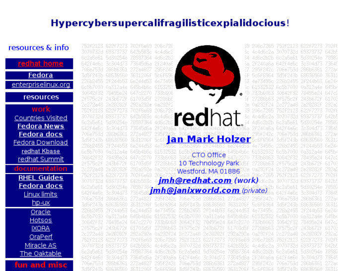 www.janholzer.com