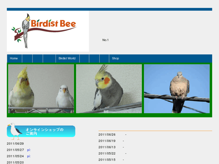 www.birdist-bee.com