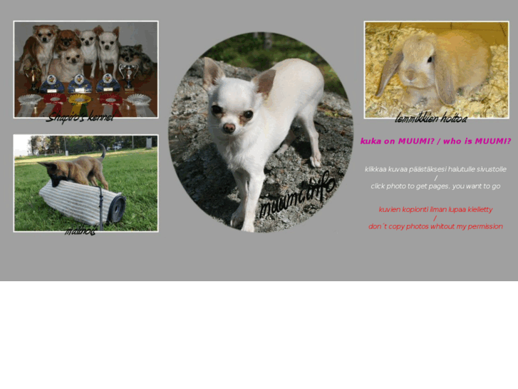 www.muumi.info