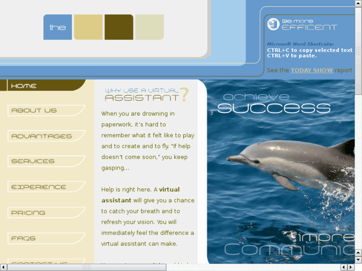 www.theefficientassistant.com