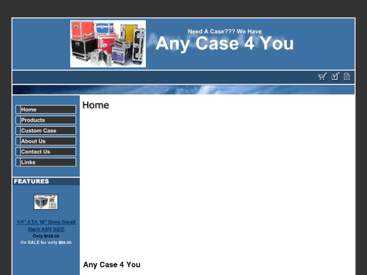 www.anycase4you.com