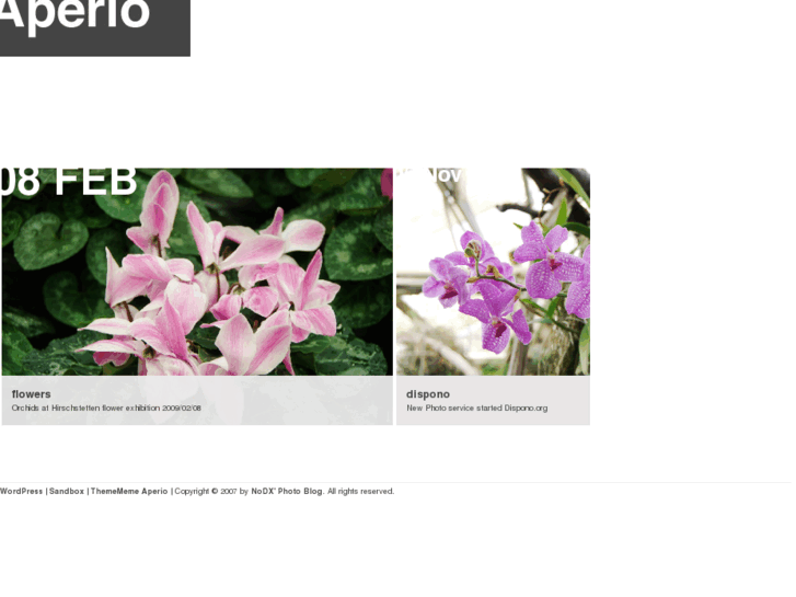 www.dispono.org