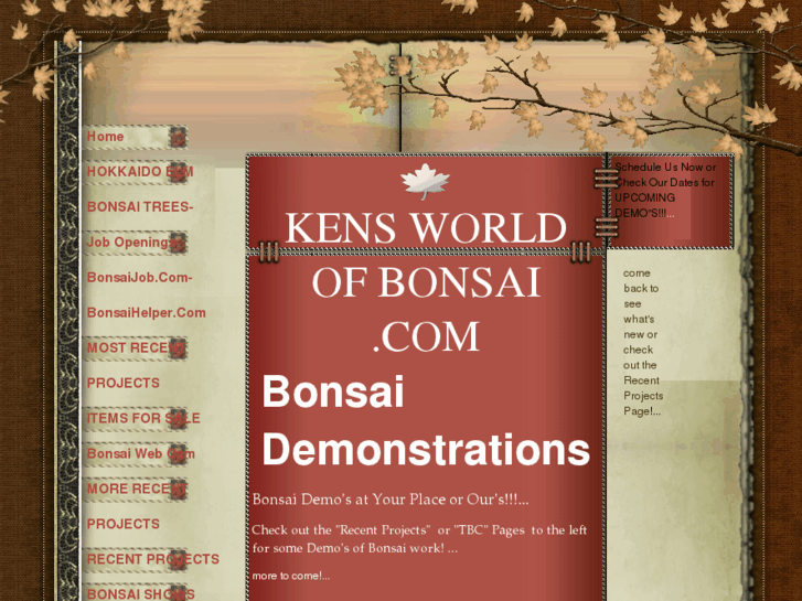 www.bonsaidemo.com