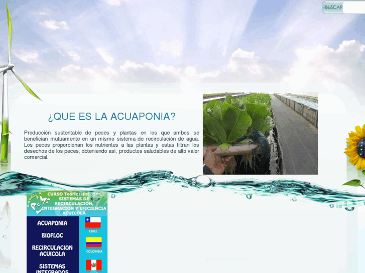 www.acuaponia.com