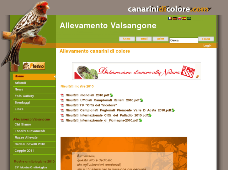 www.canarinidicolore.com