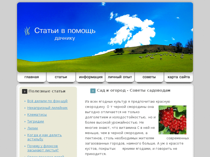 www.sadyogorody.ru