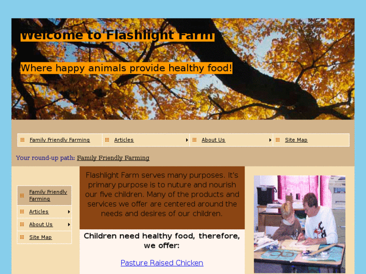 www.flashlightfarm.com