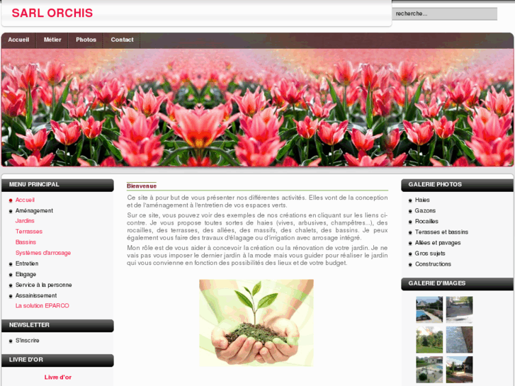 www.sarlorchis.com