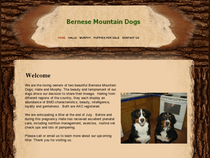 www.wyo-bernese.com