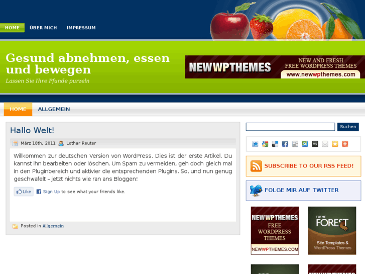 www.abnehmen-aber-wie.info