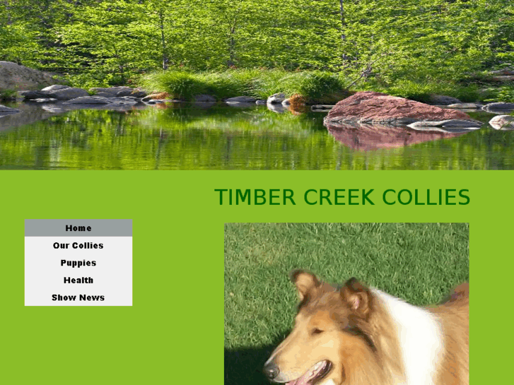 www.timbercreekcollies.com