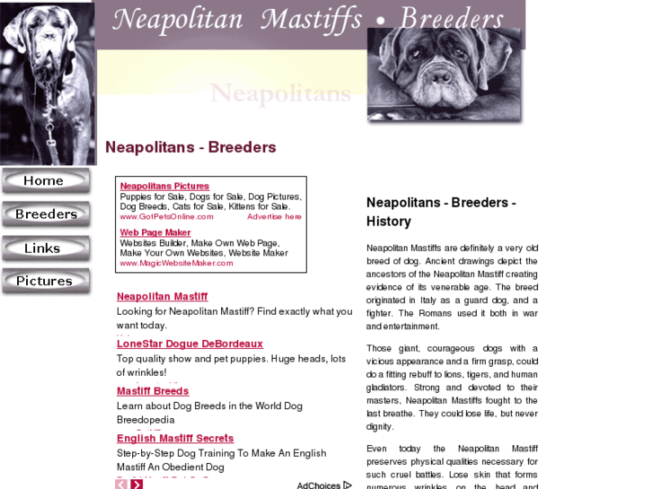 www.neapolitans-breeders.com