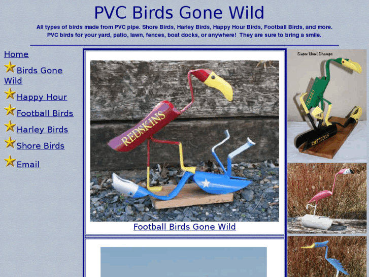 www.pvcbirdsgonewild.com