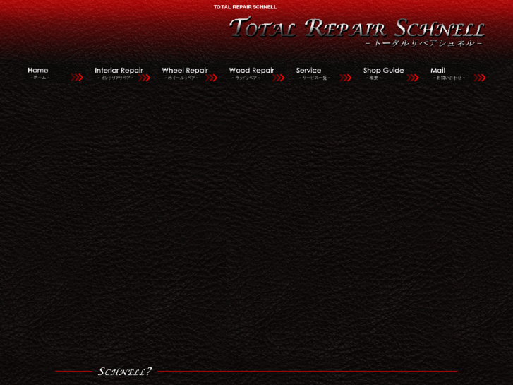 www.totalrepair-schnell.com