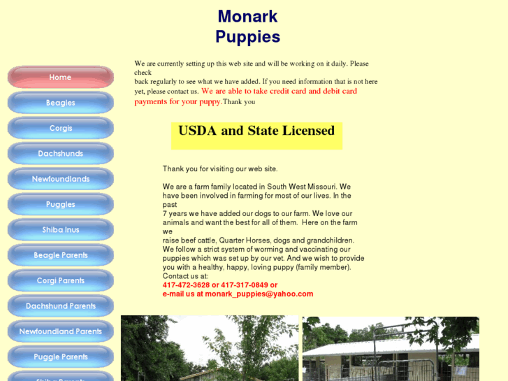 www.monarkpuppies.com