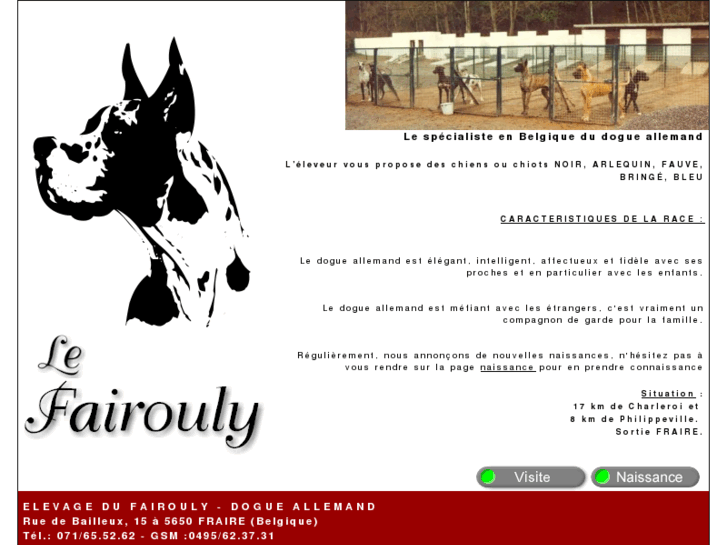 www.dogueallemand-fairouly.com