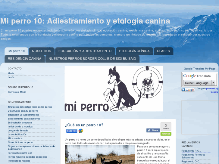 www.miperro10.com