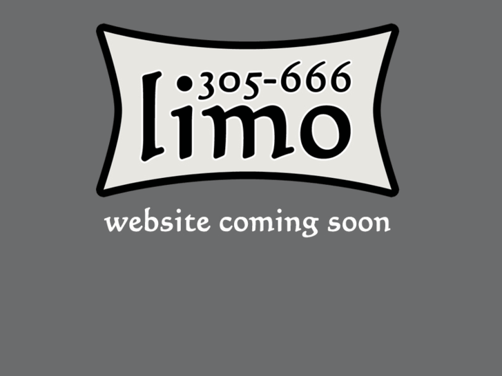 www.305666limo.com