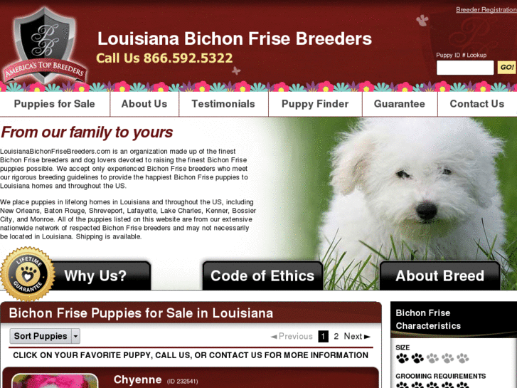 www.louisianabichonfrisebreeders.com