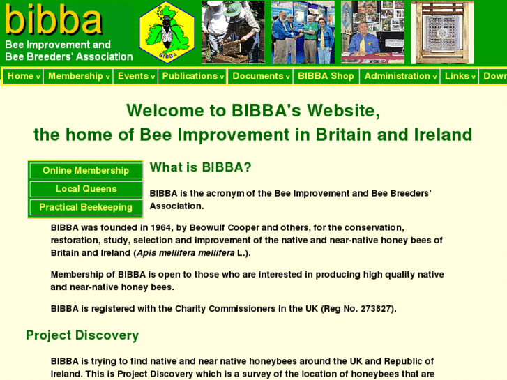 www.bibba.com