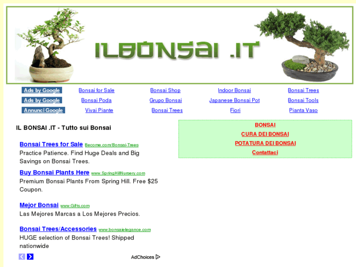 www.ilbonsai.it