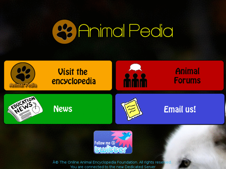 www.animal-pedia.com