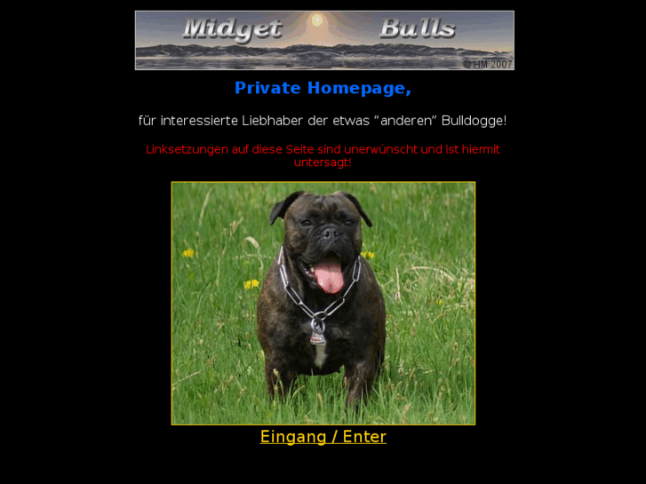 www.midget-bulls.com