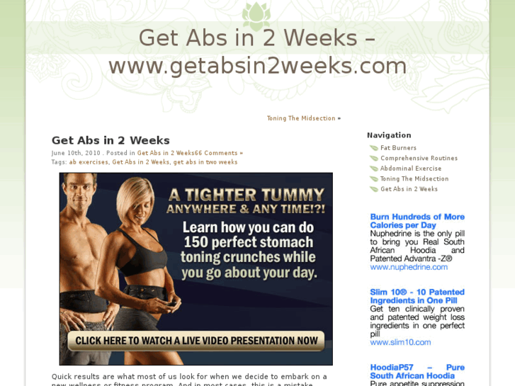 www.getabsin2weeks.com