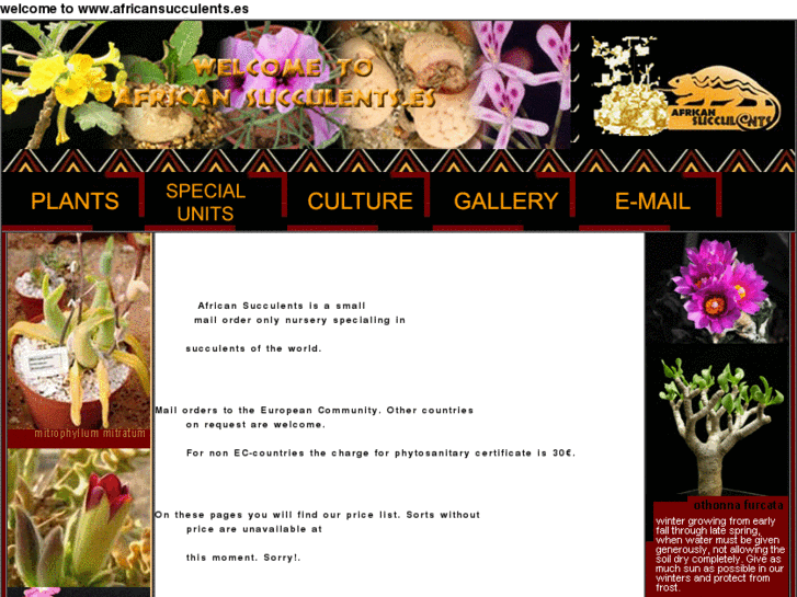 www.africansucculents.es