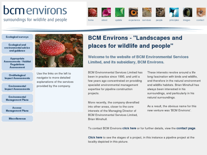 www.bcmenvirons.com