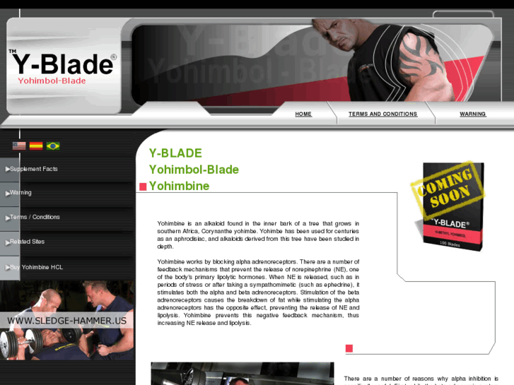 www.y-blade.com