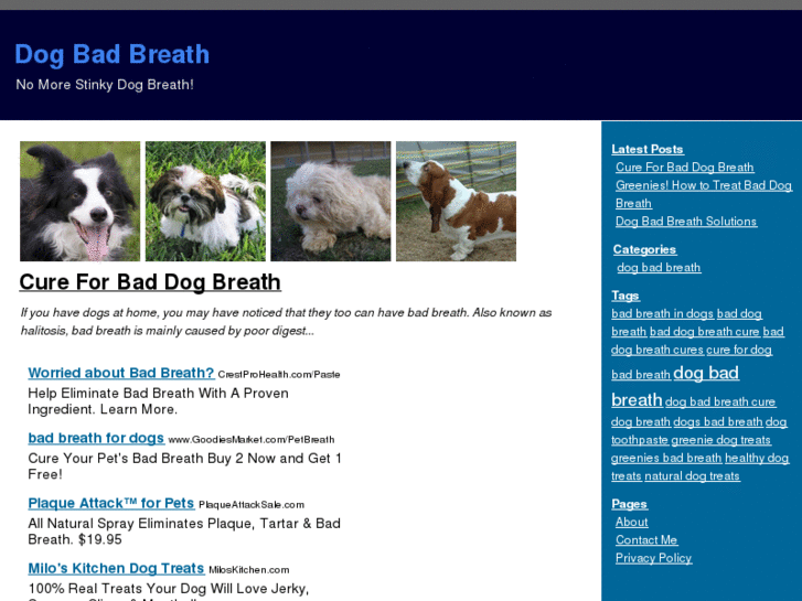 www.dogbadbreath.org