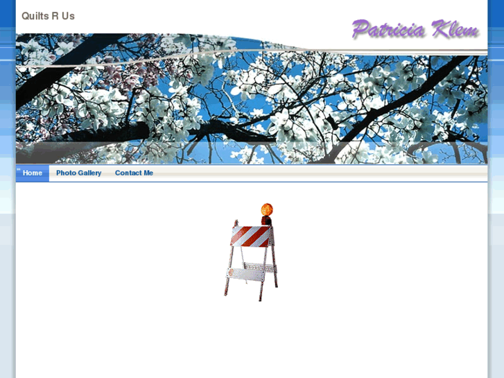 www.patriciaklem.com