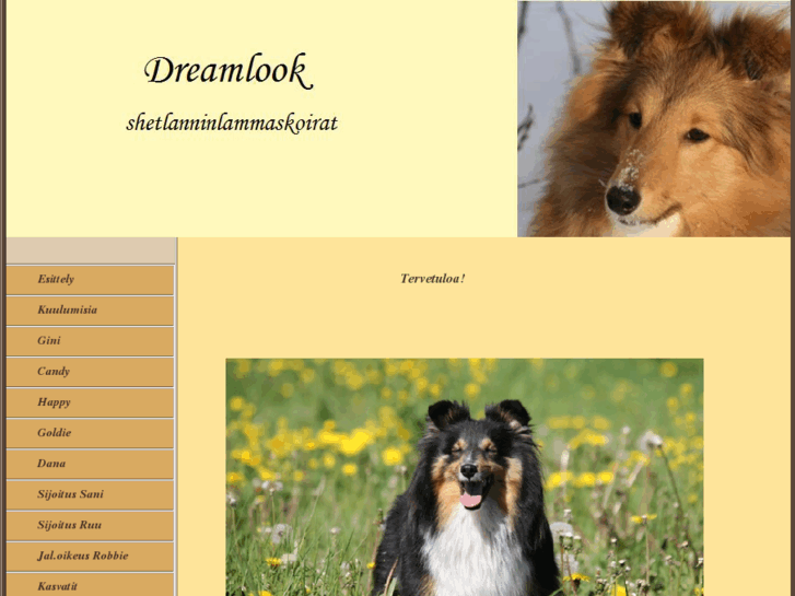 www.dream-like.net