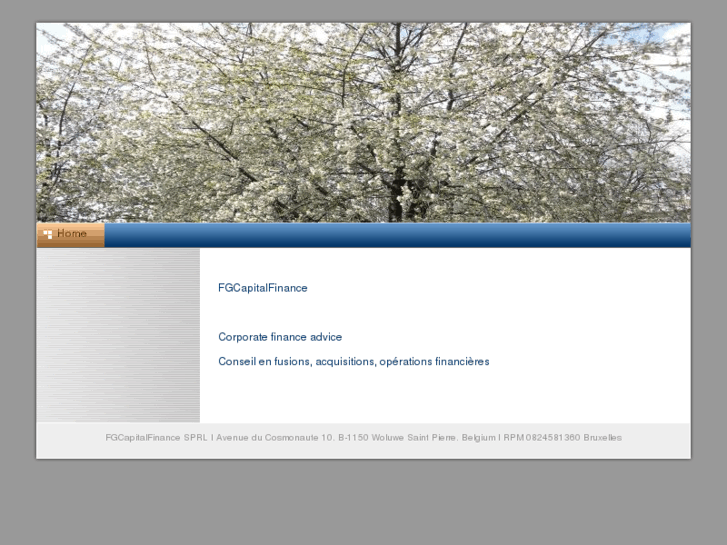 www.fgcapitalfinance.com