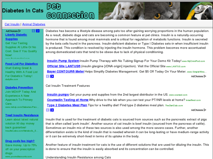 www.catinsulin.com