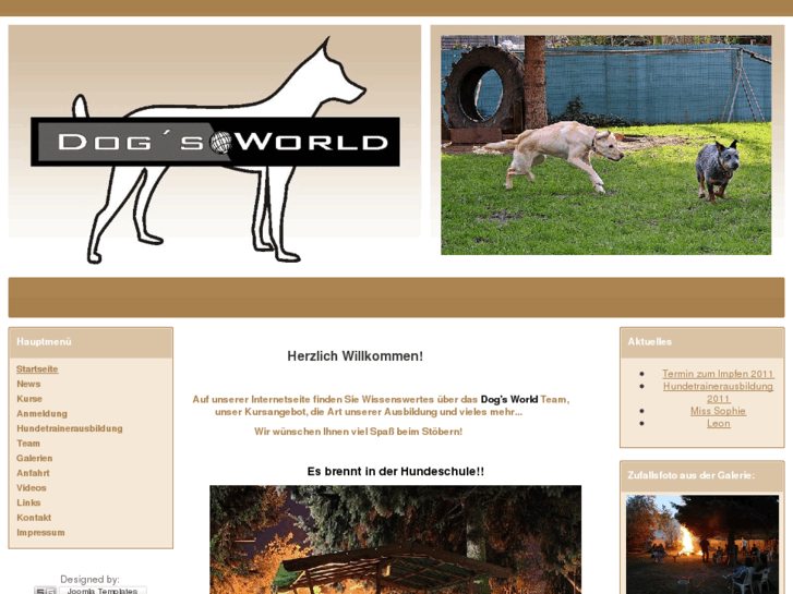 www.hundeschule-dogsworld.com