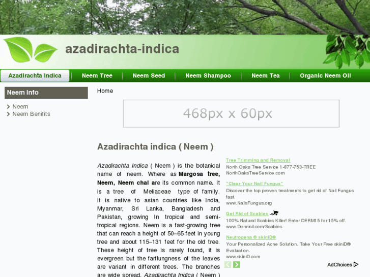 www.azadirachta-indica.com