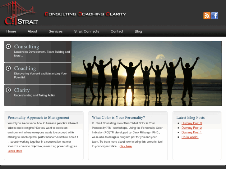 www.cstraitconsulting.com