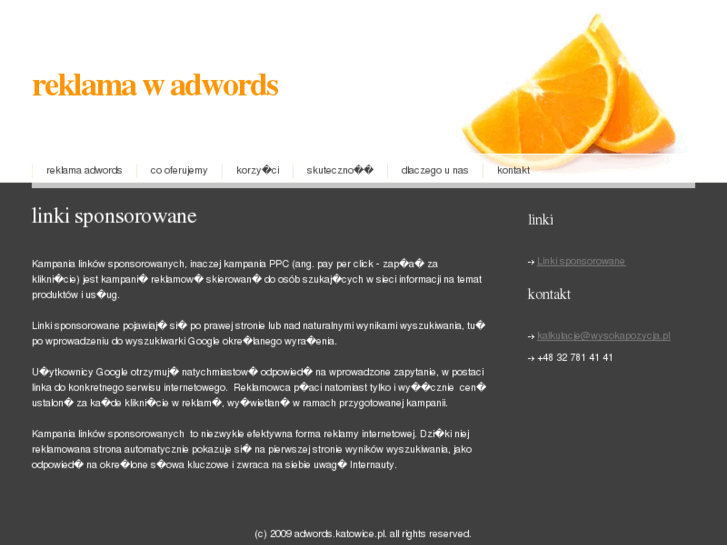 www.adwords.katowice.pl