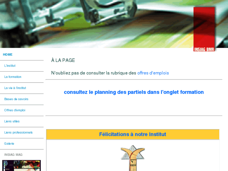 www.insiag-bmr.org