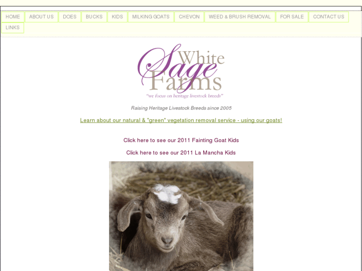 www.whitesagefarms.com