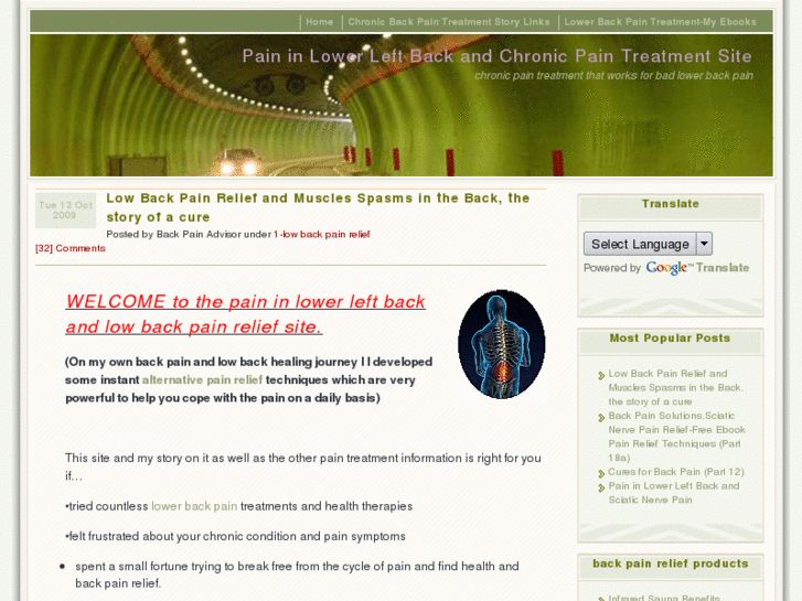 www.lowerbackpainblog.com