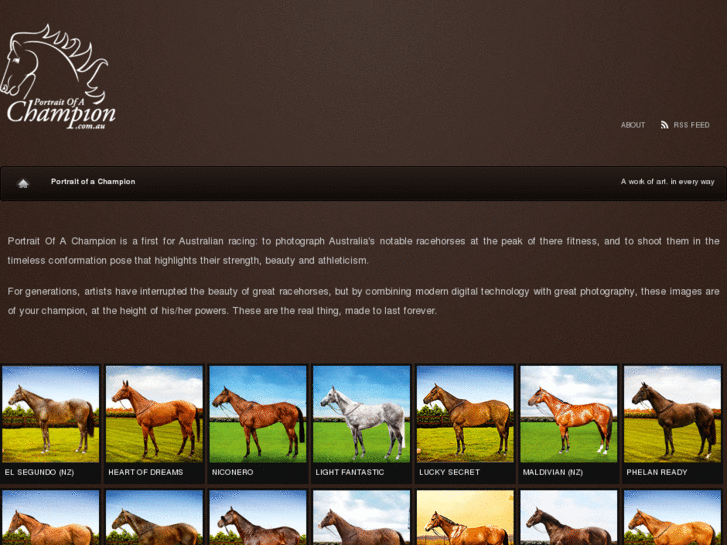 www.portraitofachampion.com