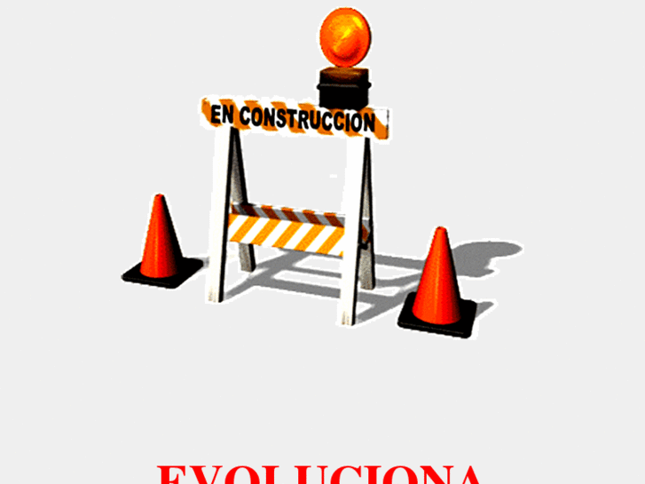 www.evolucionapublicidad.com