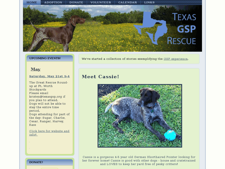 www.okgsp.com