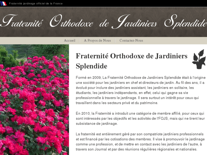 www.fojs.net
